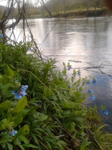 IMG_20140425_181236